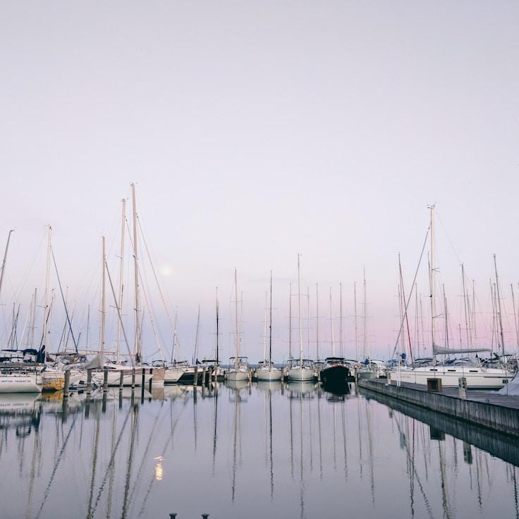 Marine lifestyle snapshot